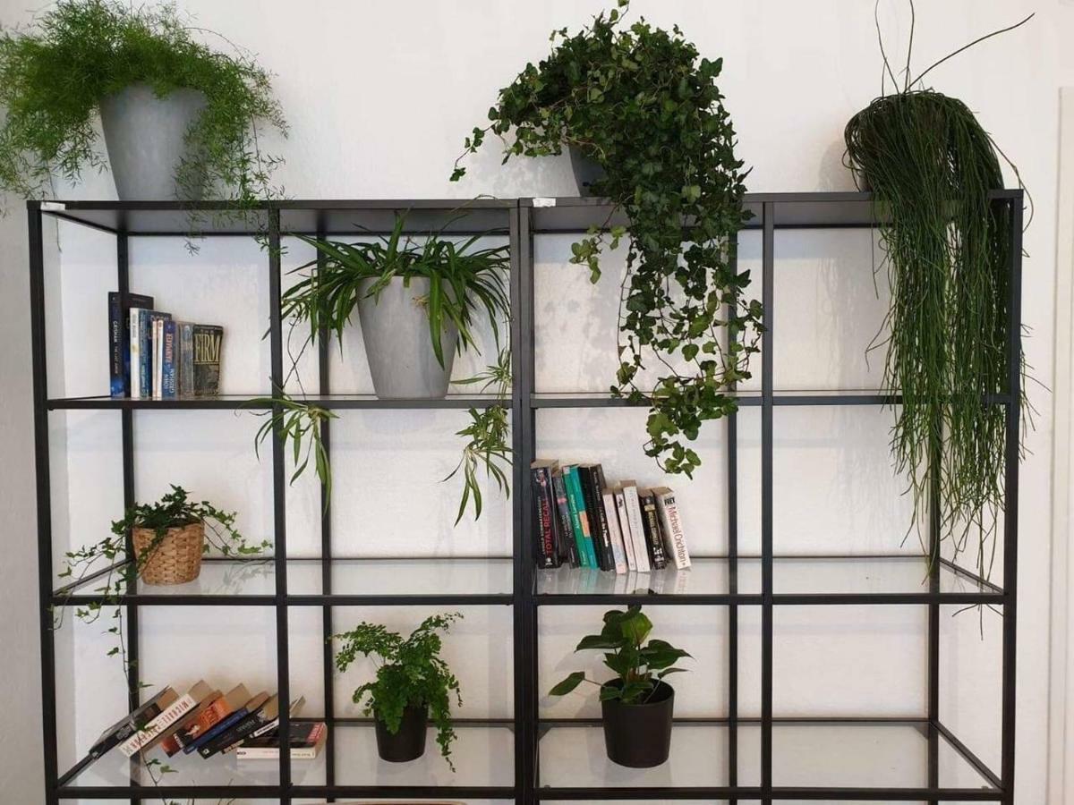 شقة Cozy Loft Metz Gare, Pompidou, Centre Congres, Muse المظهر الخارجي الصورة